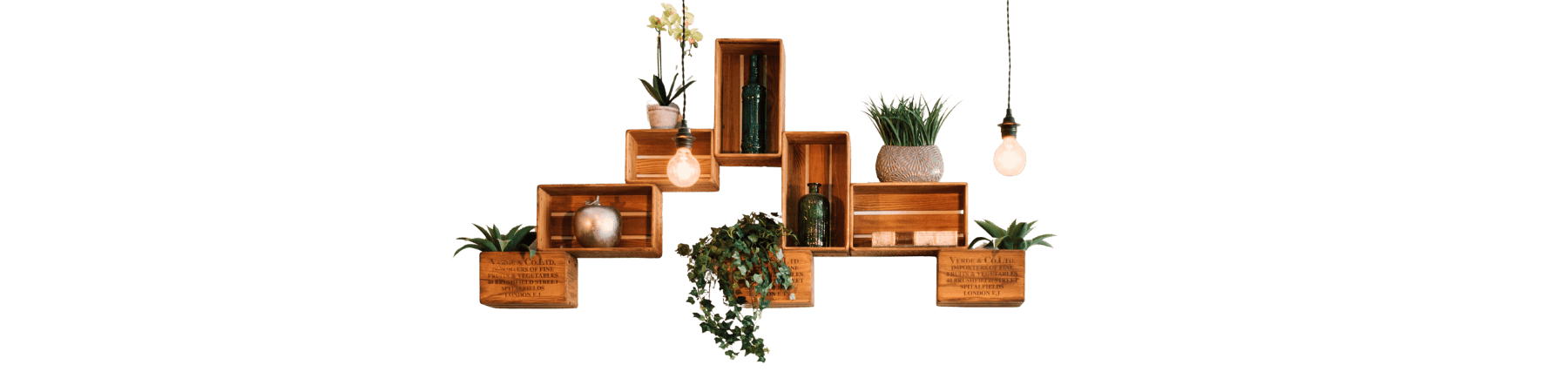 Featured Collection - Digwee