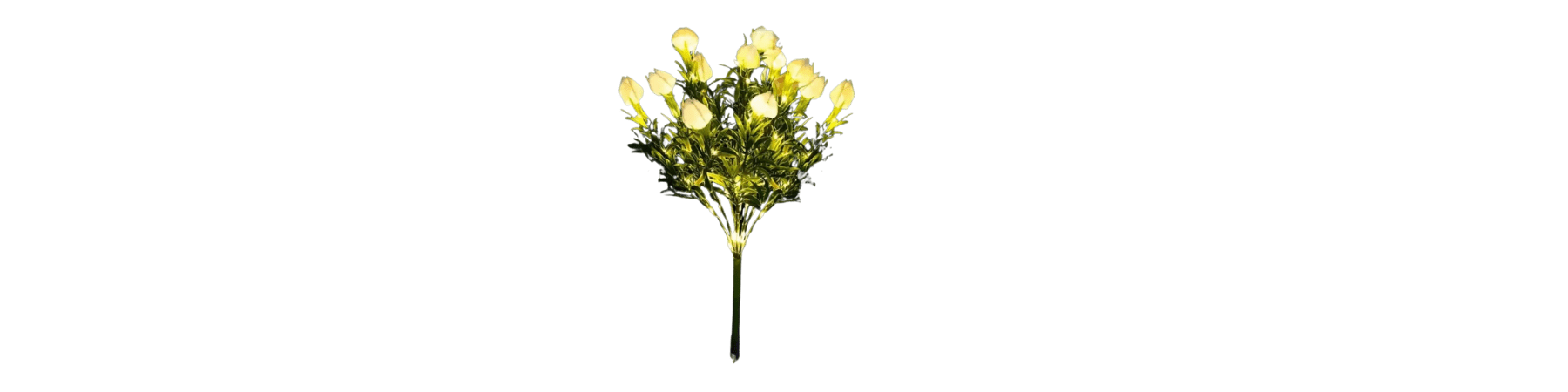 Featured Home & Garden Collection - Digwee