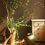 105cm Artificial Milan Leaf Decorative Plant - Digwee