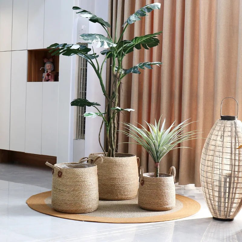 3 - Piece Round Rattan Planter Set - Digwee