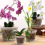 9 - Pack Transparent Orchid Pots with Saucers - Digwee