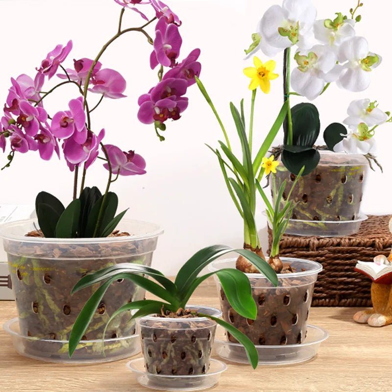 9 - Pack Transparent Orchid Pots with Saucers - Digwee