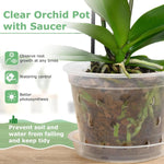 9 - Pack Transparent Orchid Pots with Saucers - Digwee