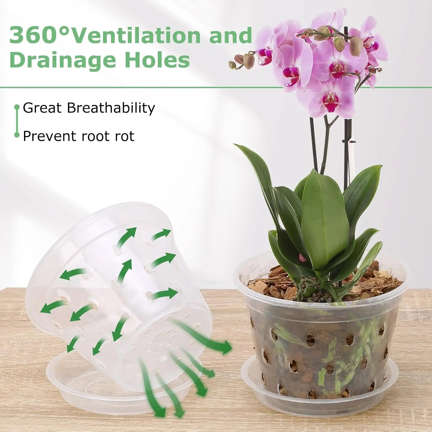 9 - Pack Transparent Orchid Pots with Saucers - Digwee