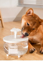 Automatic Pet Water Fountain with Filters - Digwee