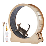 Cat Exercise Wheel — Wooden Silent Running Wheel for Indoor Cats - Digwee