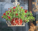 Crown - Shaped Hanging Iron Flower Pot Basket - Digwee