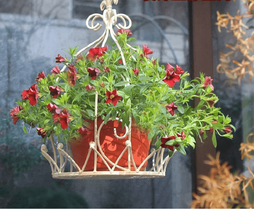 Crown - Shaped Hanging Iron Flower Pot Basket - Digwee