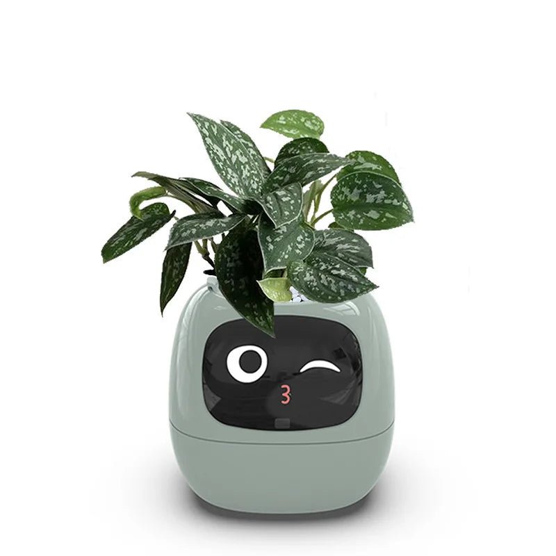 Cute Smart Digital Planter with USB Charging - Digwee