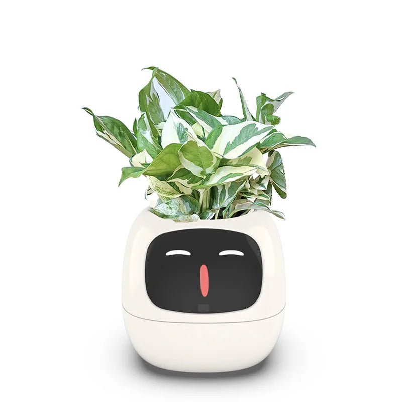 Cute Smart Digital Planter with USB Charging - Digwee