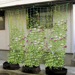 Durable Garden Trellis Net for Plant Support - Digwee