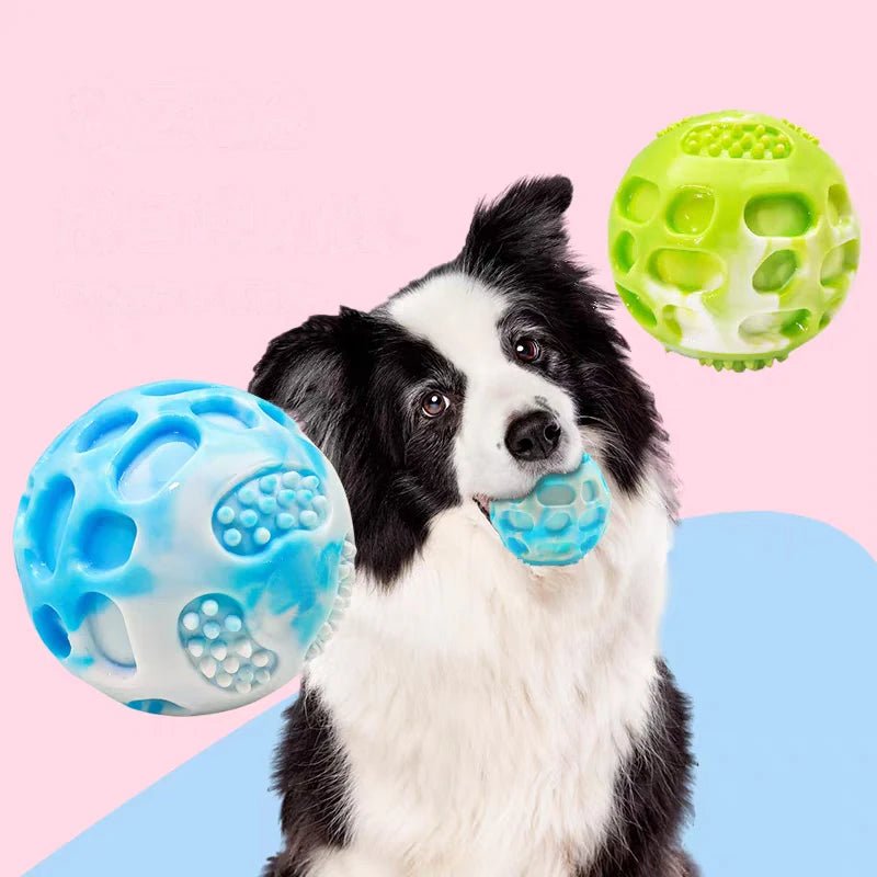 Durable Rubber Dog Chew Training Ball - Digwee
