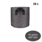 Eco - Friendly Fabric Grow Bags for Vegetables - Digwee