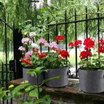 Eco - Friendly Fabric Grow Bags for Vegetables - Digwee