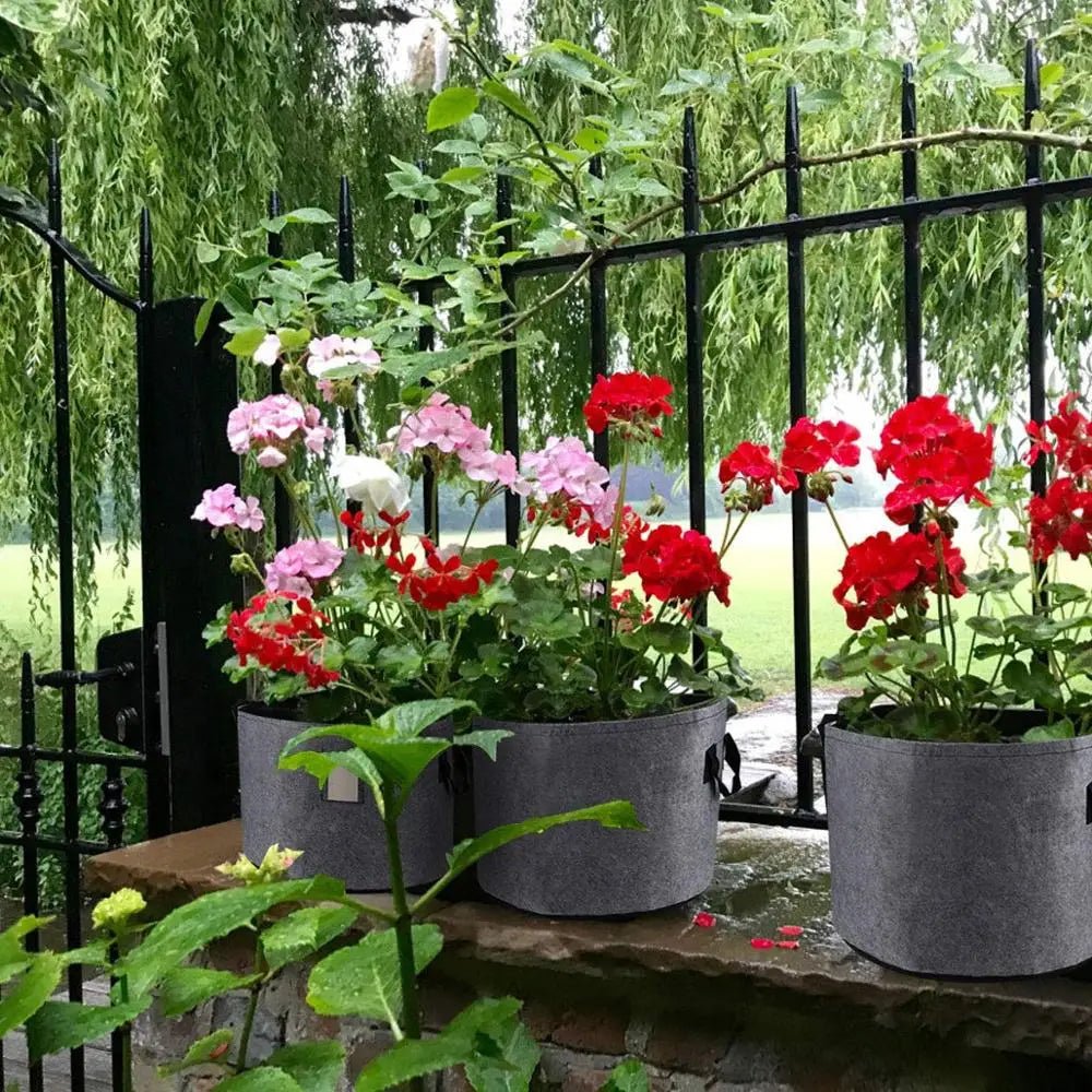 Eco - Friendly Fabric Grow Bags for Vegetables - Digwee