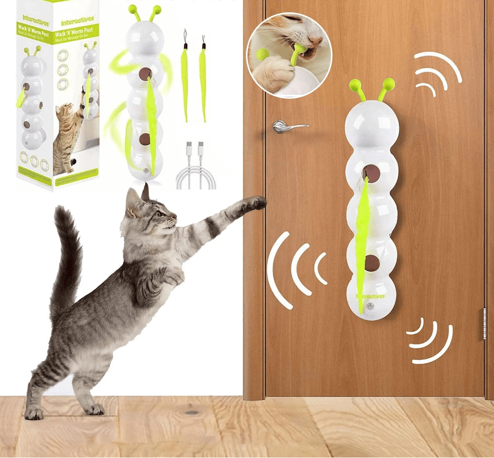 Electric Caterpillar Cat Toy with Feather Tail - Digwee