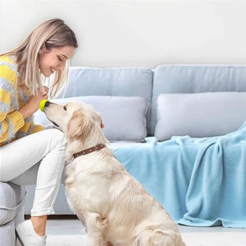 Fun Interactive Mini Tennis Ball Launcher for Pets - Digwee