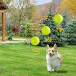 Fun Interactive Mini Tennis Ball Launcher for Pets - Digwee