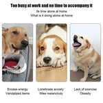 Fun Interactive Mini Tennis Ball Launcher for Pets - Digwee