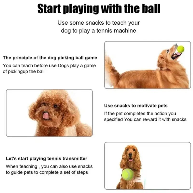Fun Interactive Mini Tennis Ball Launcher for Pets - Digwee
