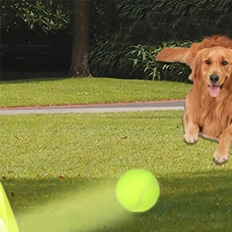 Fun Interactive Mini Tennis Ball Launcher for Pets - Digwee