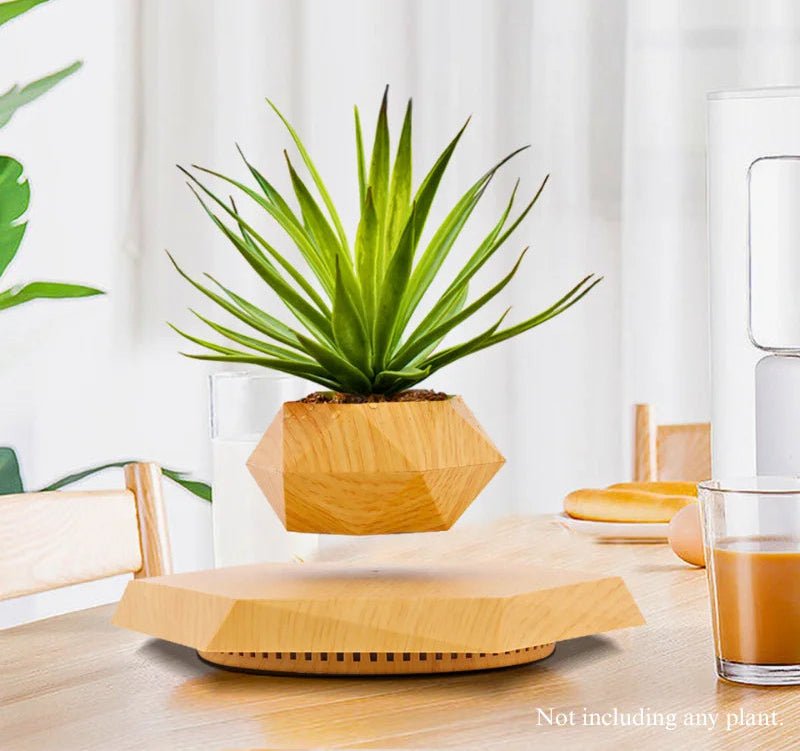 Hexagon Levitating Air Bonsai Plant Pot - Digwee