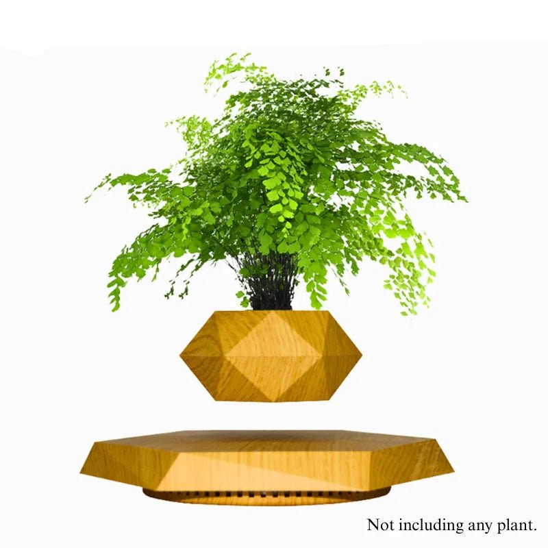 Hexagon Levitating Air Bonsai Plant Pot - Digwee