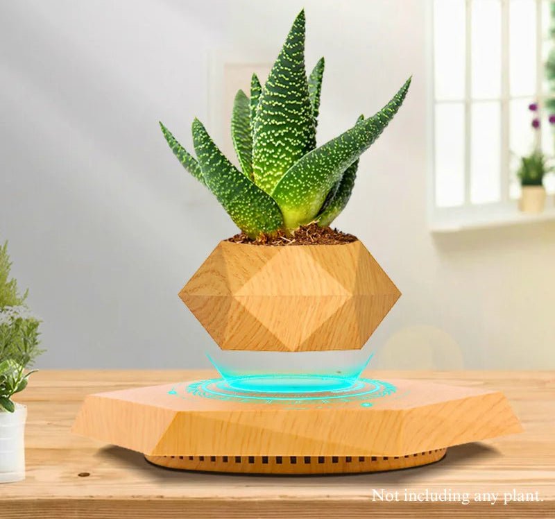 Hexagon Levitating Air Bonsai Plant Pot - Digwee