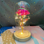 LED Eternal Rose Light Display - Digwee