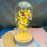 LED Eternal Rose Light Display - Digwee