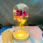 LED Eternal Rose Light Display - Digwee