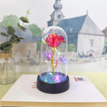 LED Eternal Rose Light Display - Digwee