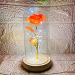 LED Eternal Rose Light Display - Digwee