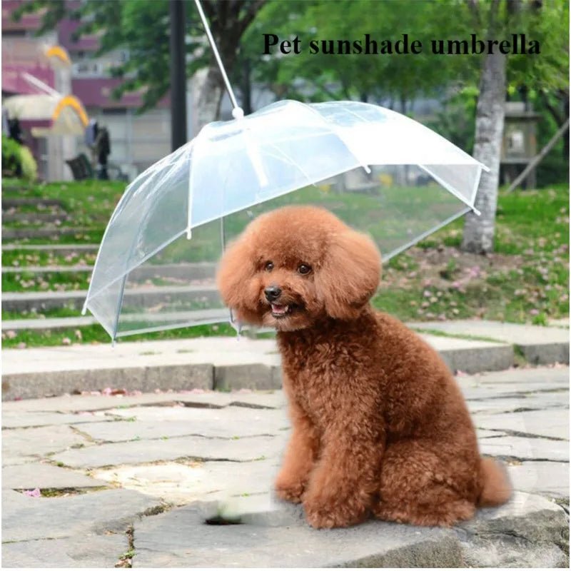 Pet Umbrella with Leash for Small Dogs - Digwee