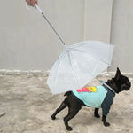 Pet Umbrella with Leash for Small Dogs - Digwee