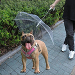 Pet Umbrella with Leash for Small Dogs - Digwee