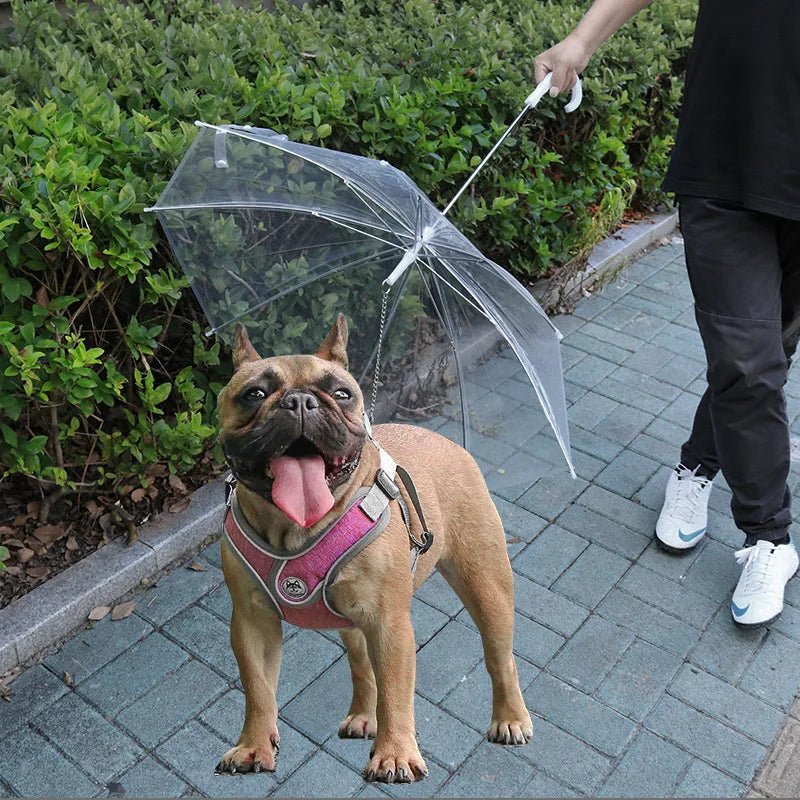 Pet Umbrella with Leash for Small Dogs - Digwee