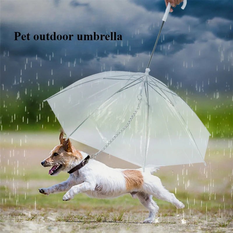 Pet Umbrella with Leash for Small Dogs - Digwee
