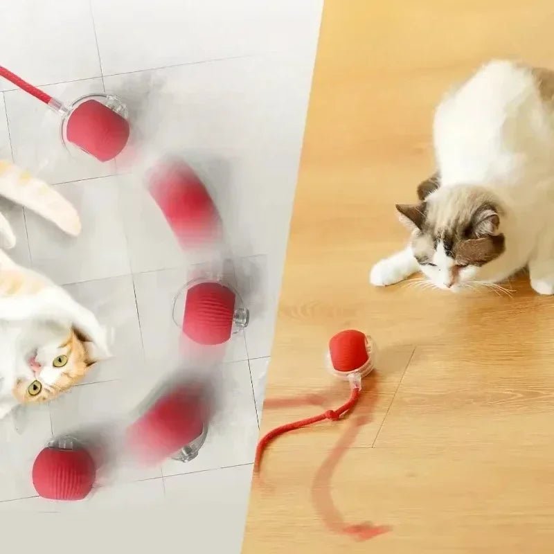 Rechargeable Smart Interactive Rolling Ball for Cats - Digwee