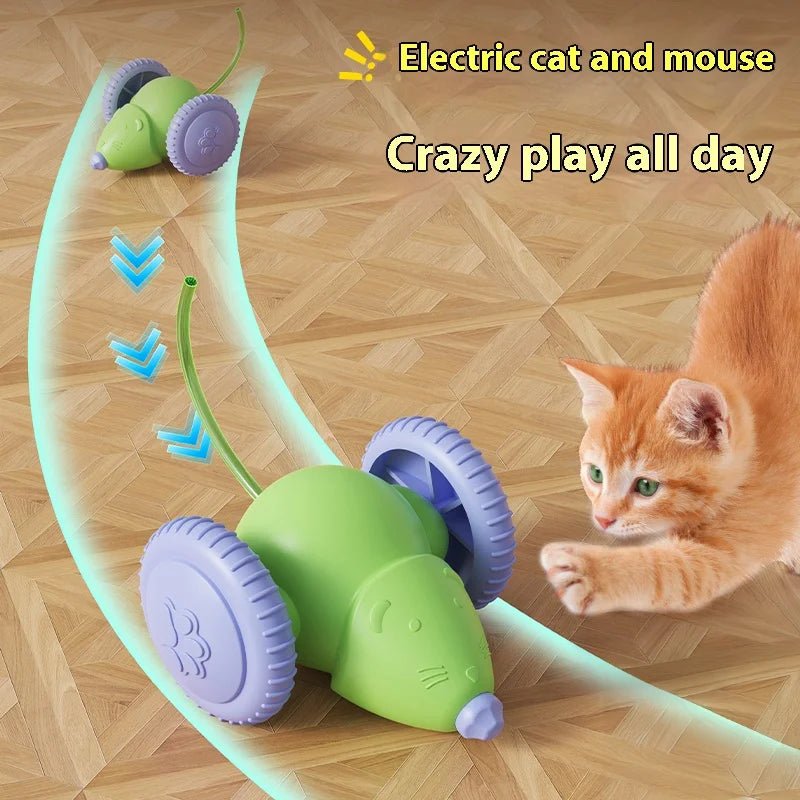 Rechargeable Smart Mouse Car Cat Toy - Digwee