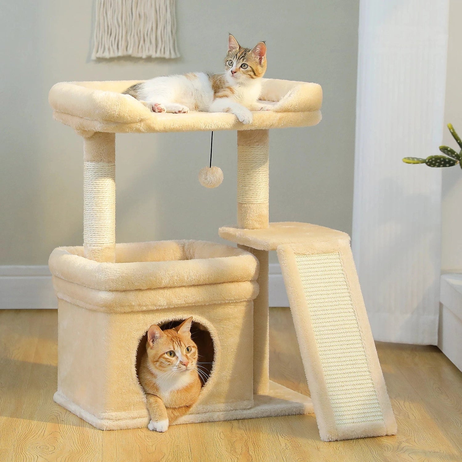 Small Indoor Cat Tree with Scratching Post - Digwee