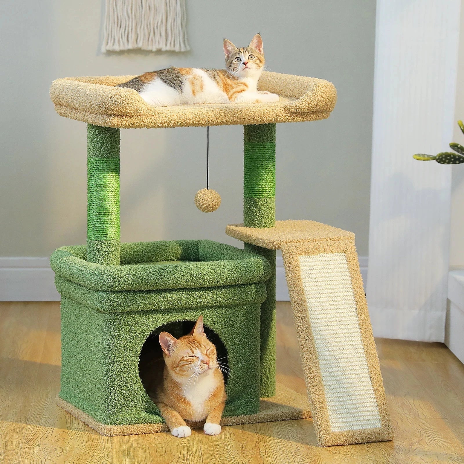 Small Indoor Cat Tree with Scratching Post - Digwee