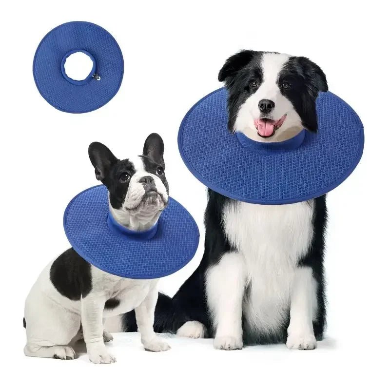 Soft Cooling Dog Recovery Collar Alternative - Digwee