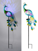 Solar Peacock Garden Stake Light with LED Globe - Digwee
