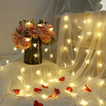 Star LED Fairy String Lights - Digwee