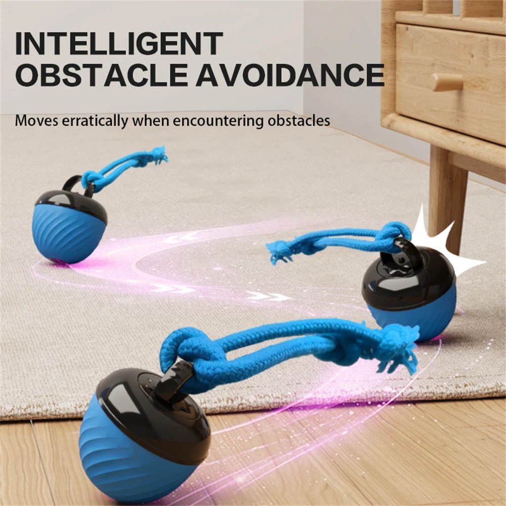 USB Rechargeable Motion - Activated Rolling Dog Ball - Digwee
