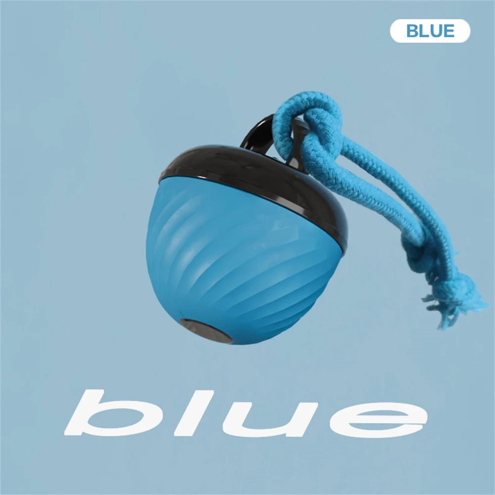 USB Rechargeable Motion - Activated Rolling Dog Ball - Digwee