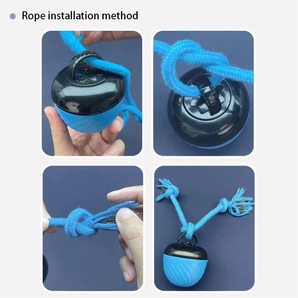 USB Rechargeable Motion - Activated Rolling Dog Ball - Digwee