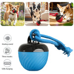 USB Rechargeable Motion - Activated Rolling Dog Ball - Digwee