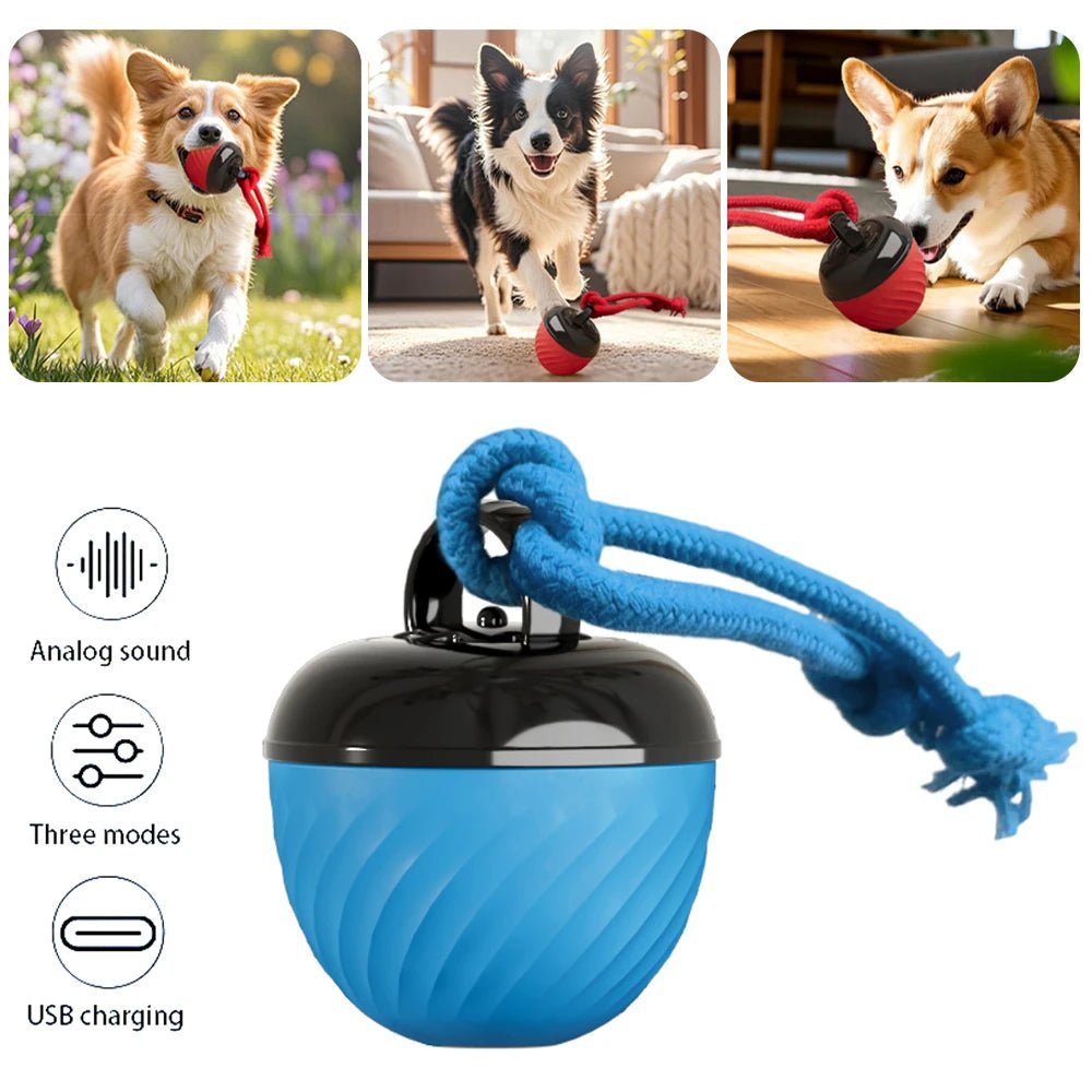 USB Rechargeable Motion - Activated Rolling Dog Ball - Digwee